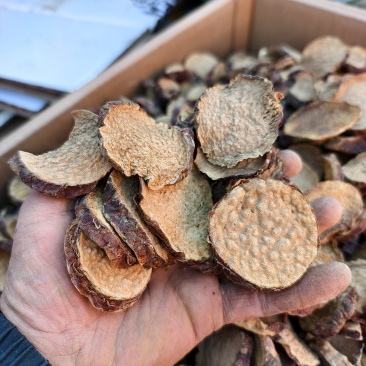 南疆大芸片