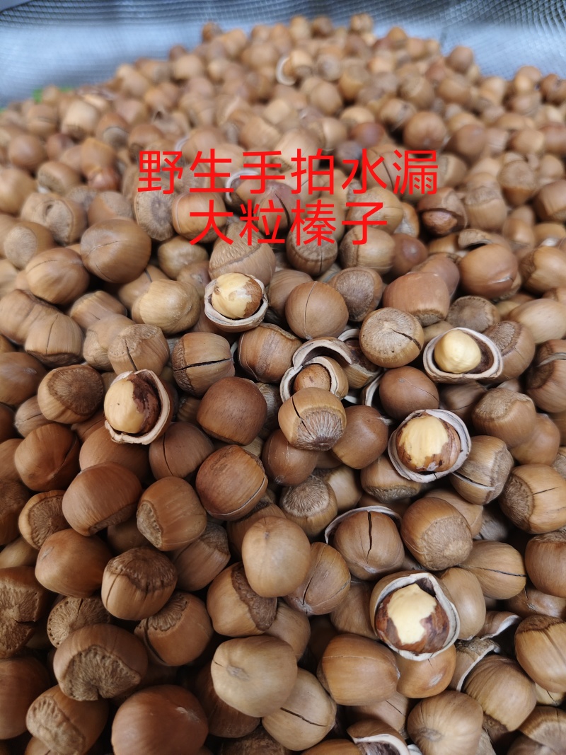 铁岭开原榛子