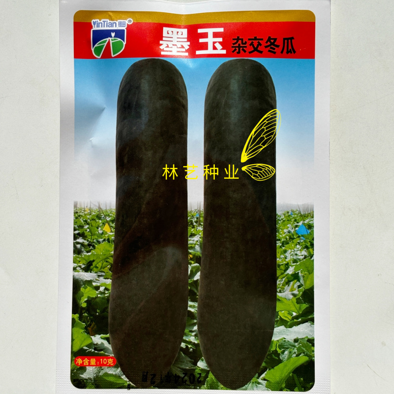 墨玉黑皮冬瓜种子耐贮运耐肥水丰产稳产肉质细密大田专用