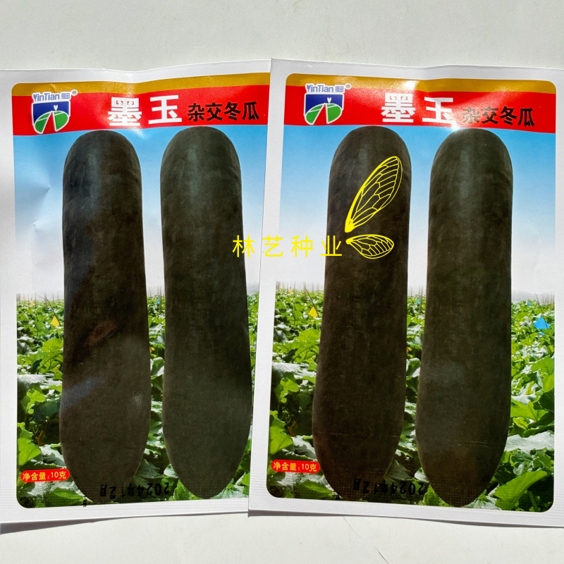 墨玉黑皮冬瓜种子耐贮运耐肥水丰产稳产肉质细密大田专用