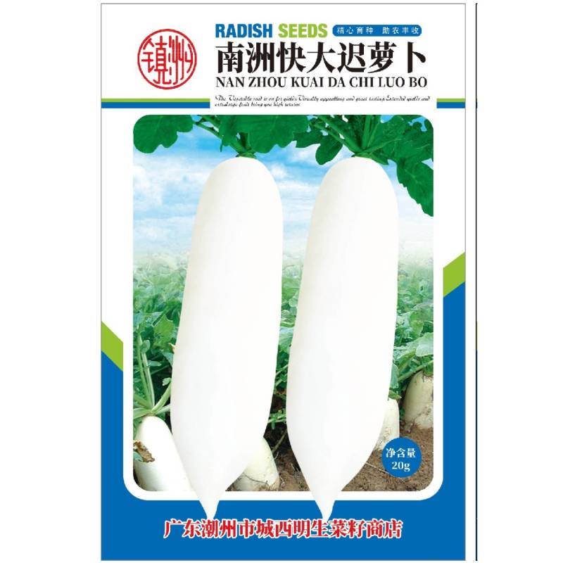 明生菜籽南洲快大迟萝卜70-80天