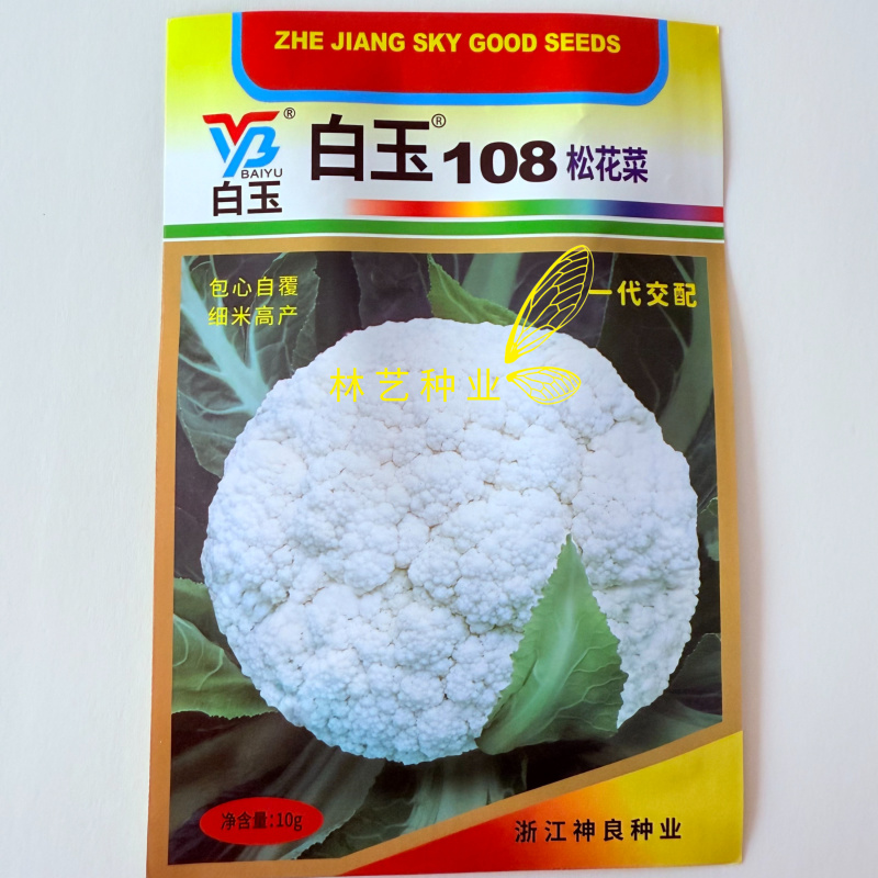 白玉108花菜种子新鲜晚熟耐寒菜花青梗松花菜半直立越冬
