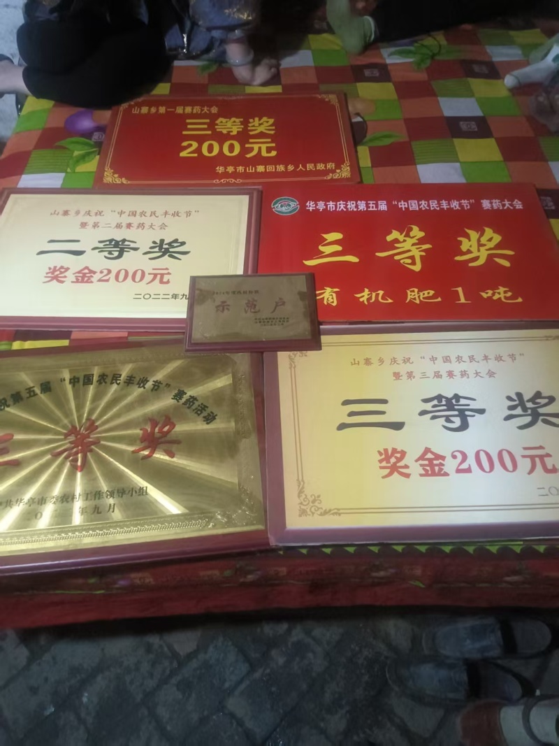 独活种苗大量出售，产地直发，成活率高，独活