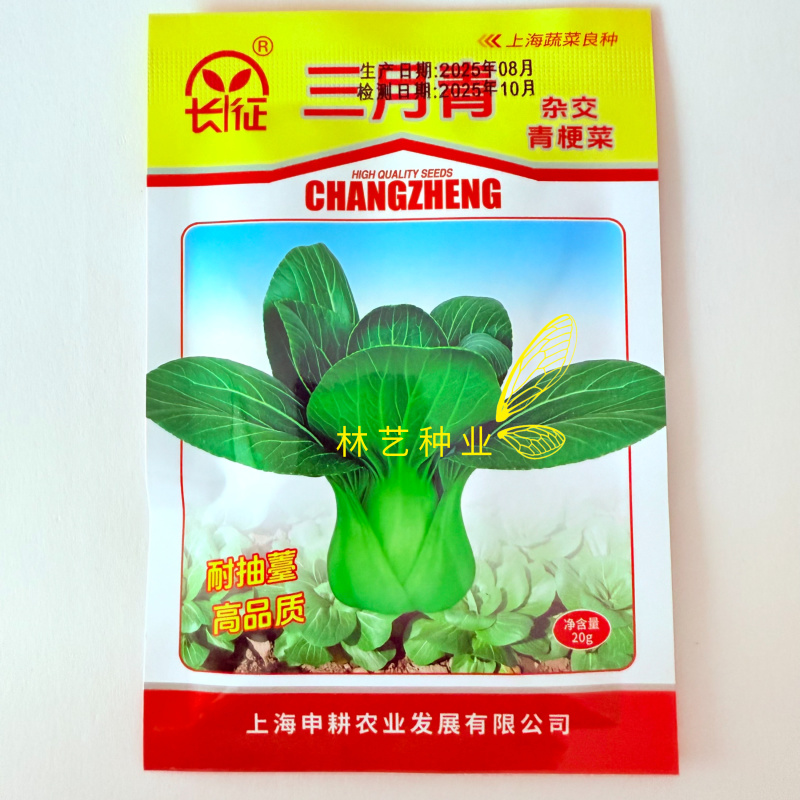 长征三月青青梗菜种子叶深绿叶柄绿色宽厚品质甜脆清香耐低温
