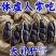 云南富硒带壳黑花生干货云南产地直发，全国发货，欢迎下单