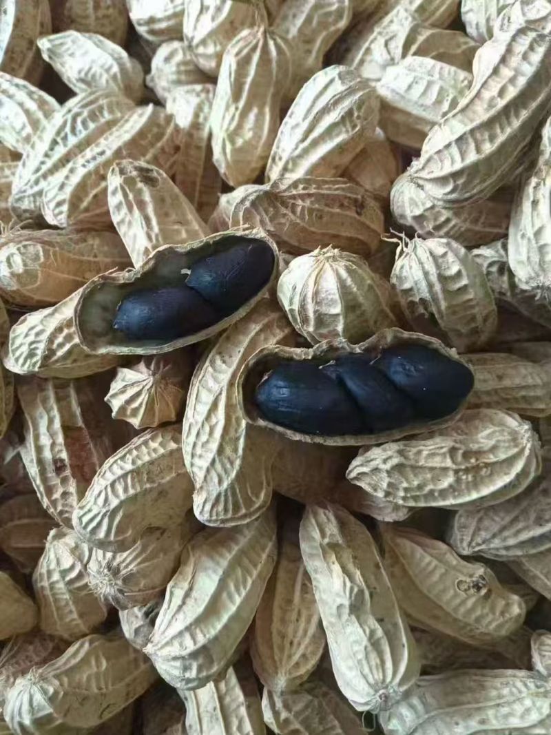 云南富硒带壳黑花生干货云南产地直发，全国发货，欢迎下单