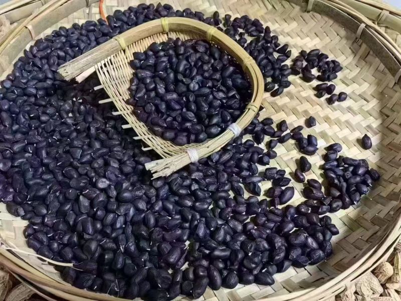 云南富硒带壳黑花生干货云南产地直发，全国发货，欢迎下单
