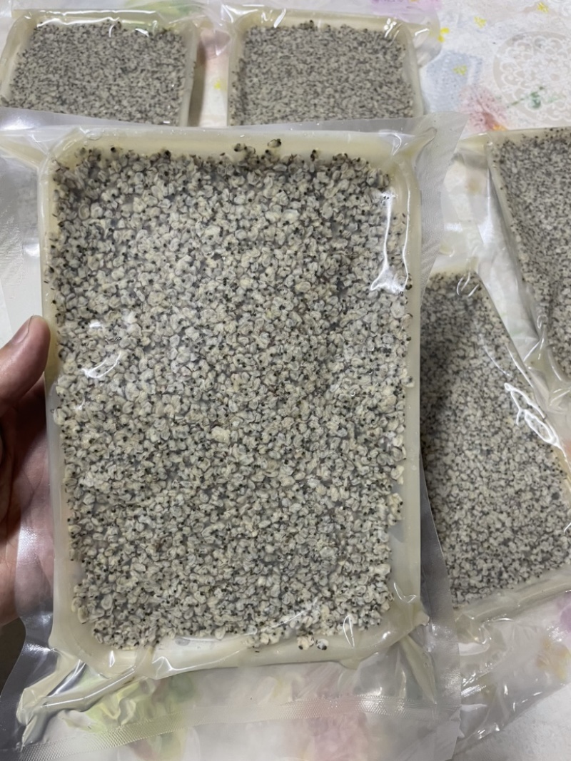 去壳海瓜子肉/蛤蜊/蛤肉/工厂直供