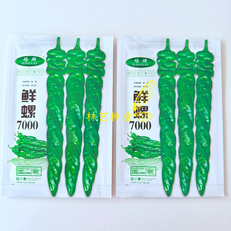 鲜螺7000大果螺丝椒种子果肩褶皱明显螺旋度好膨果快