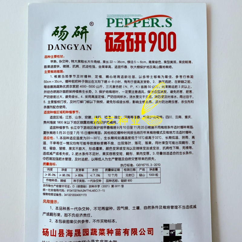 砀研900大果粗长牛角椒子早熟高产抗病微辣口感好膨果快