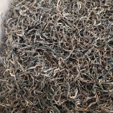 24年景迈大平掌生散茶