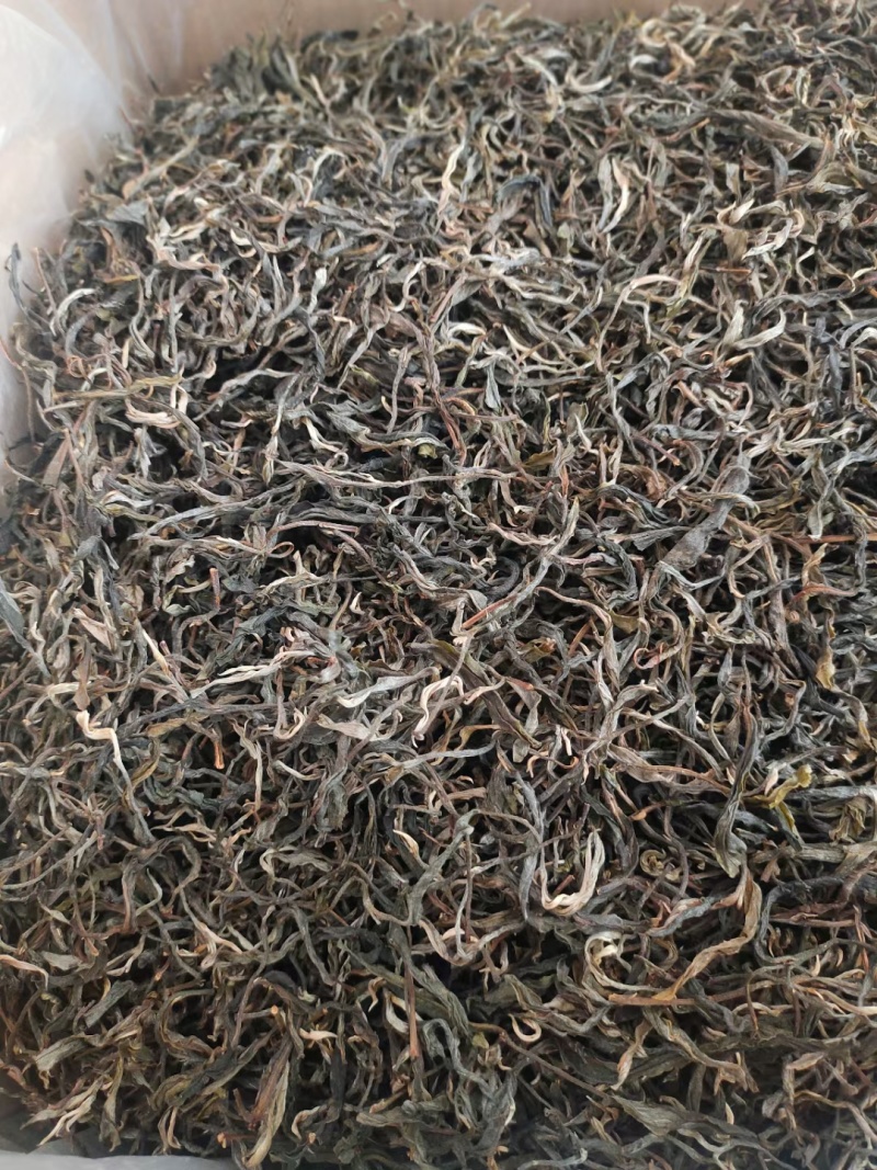 24年景迈大平掌生散茶