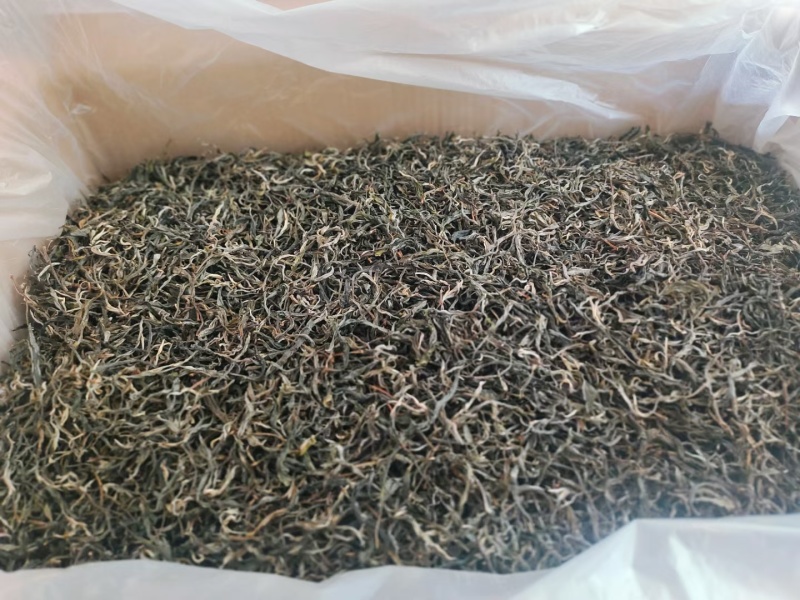 24年景迈大平掌生散茶