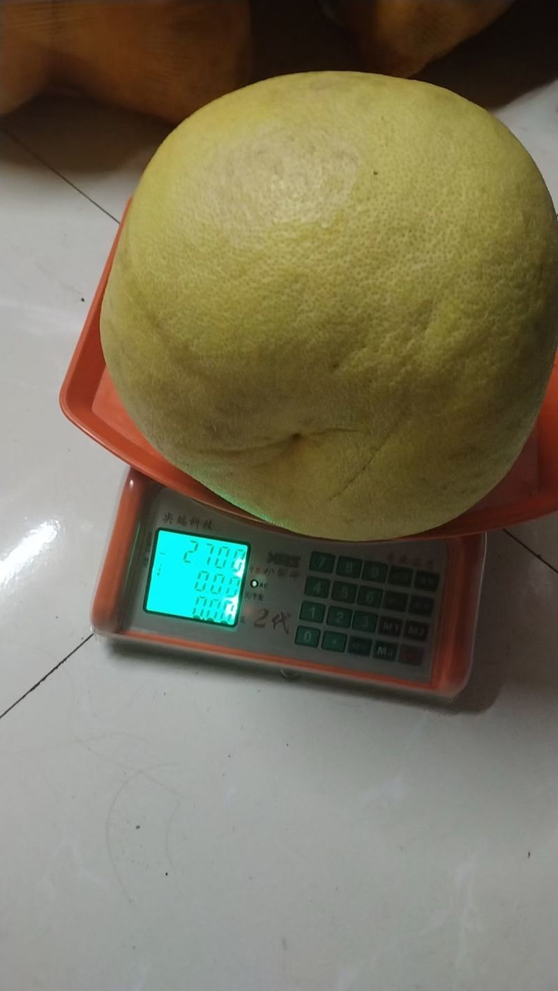 泰柚