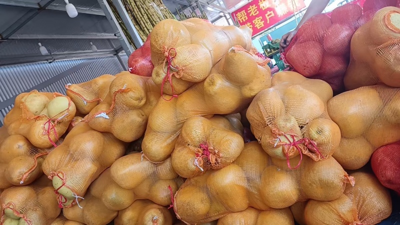 泰柚