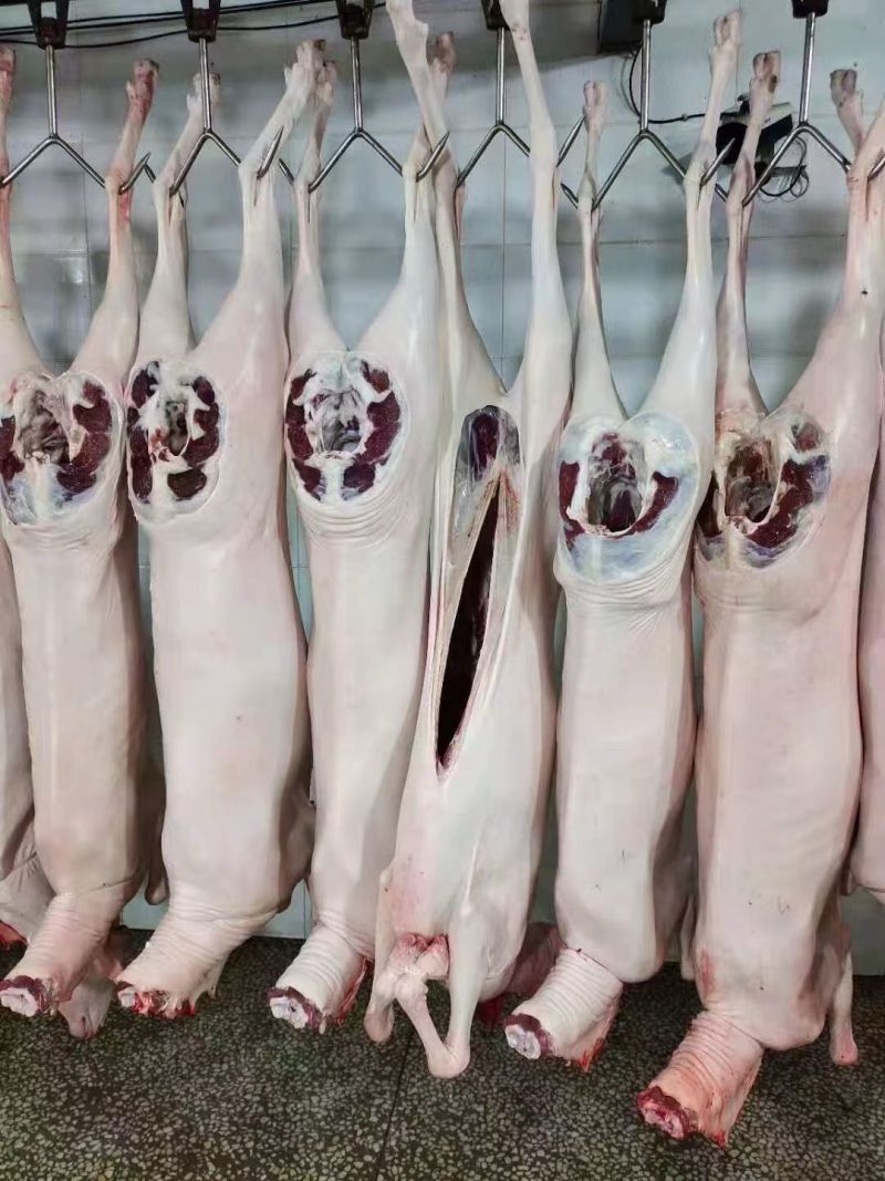 河北羊肉