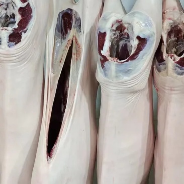 河北羊肉