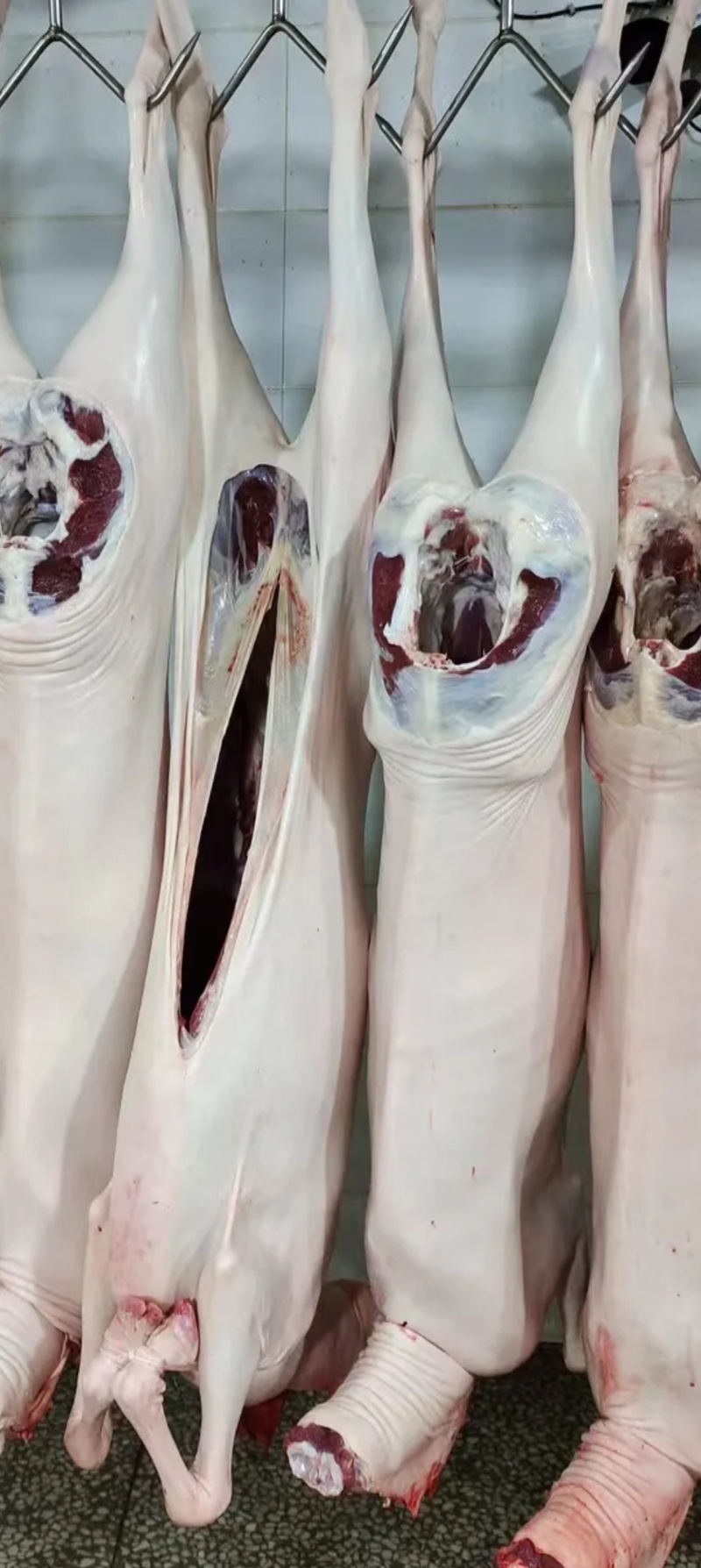 河北羊肉