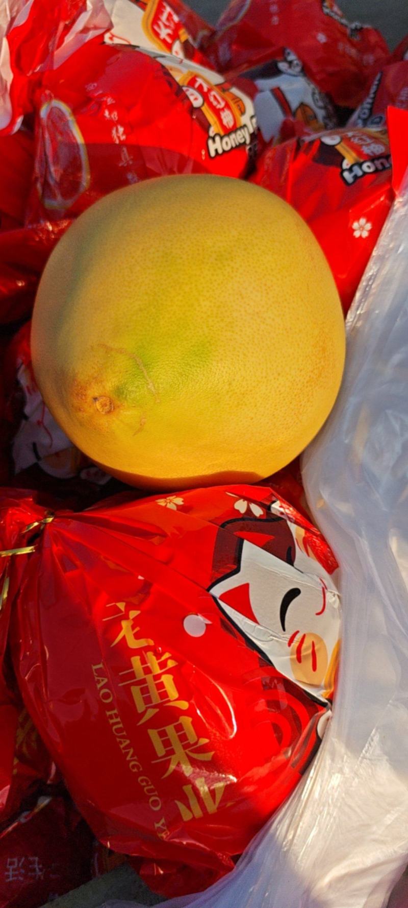 漳州红心柚