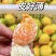 蜜橘四川蜜橘柑桔，皮薄多汁，现摘现发，欢迎来电洽谈更优惠