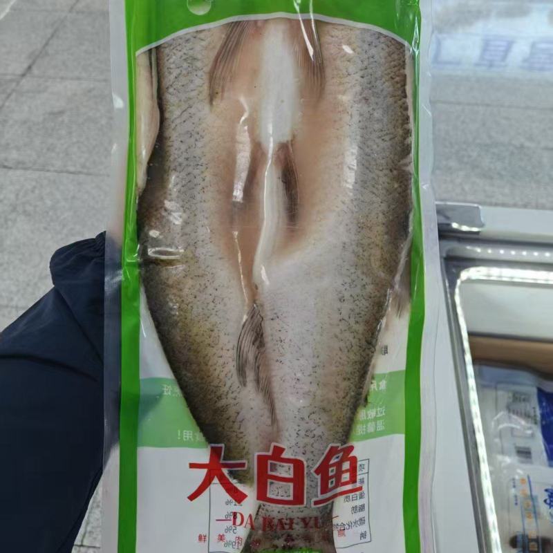 大白鱼