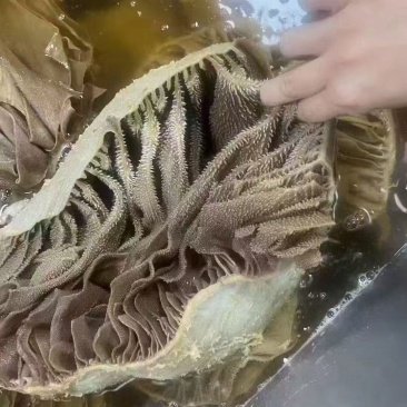 黑个个毛肚23元斤40斤一箱