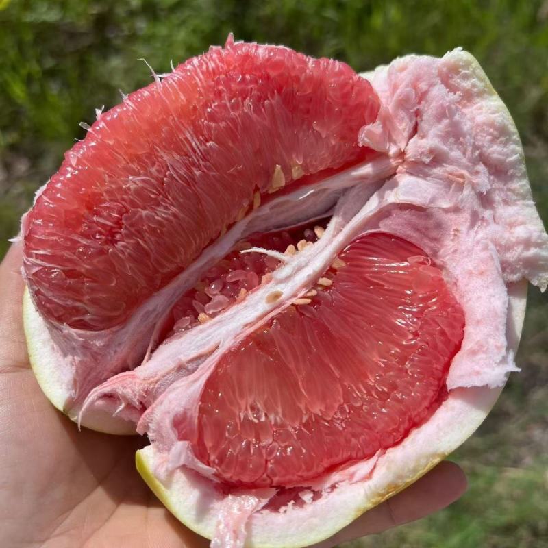 平和琯溪蜜柚