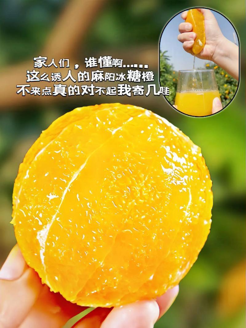石门麻阳冰糖橙支持电商拼多多一件代发。盒马