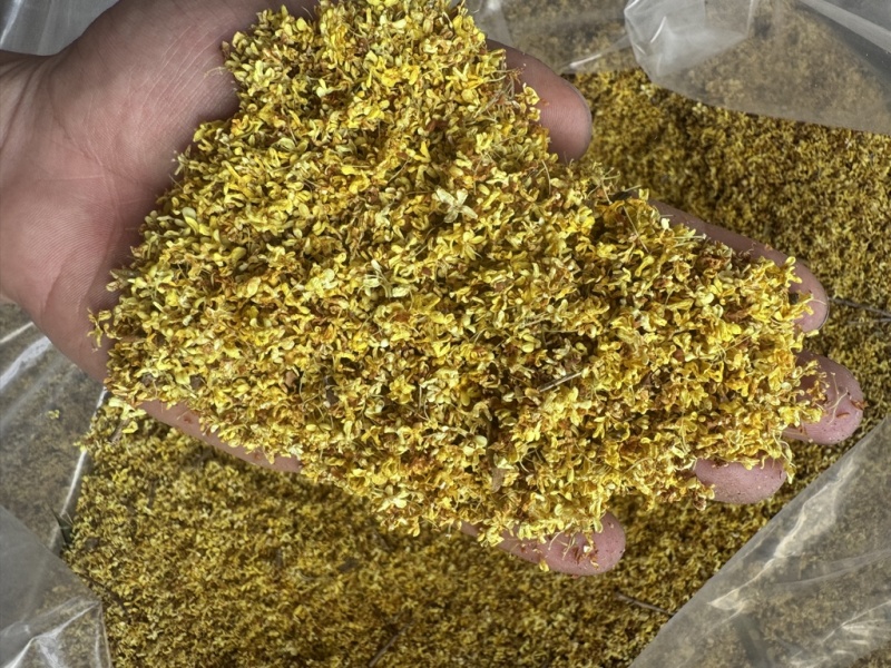 大量4a5a花出售价格便宜
