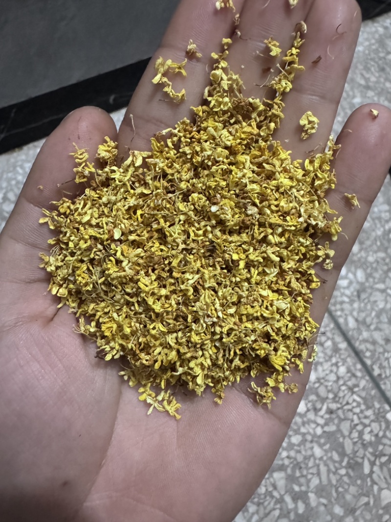 大量4a5a花出售价格便宜