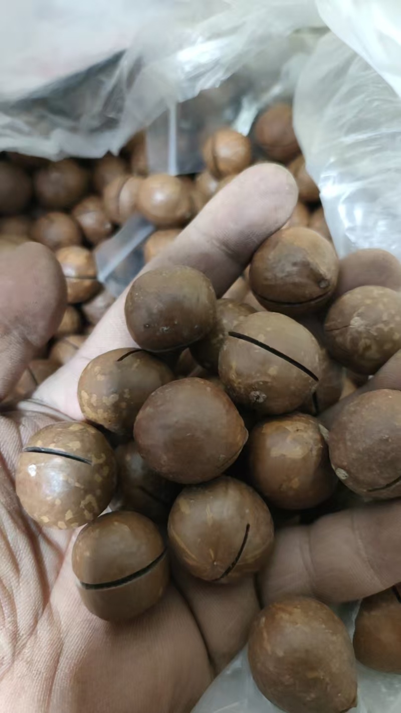 夏威夷果大颗粒奶油味坚果炒货零食批发精选干果可批发一件代