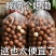 夏威夷果一手货源接代发大货