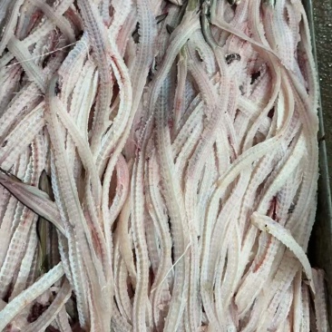 鳗鱼骨原料，冻品