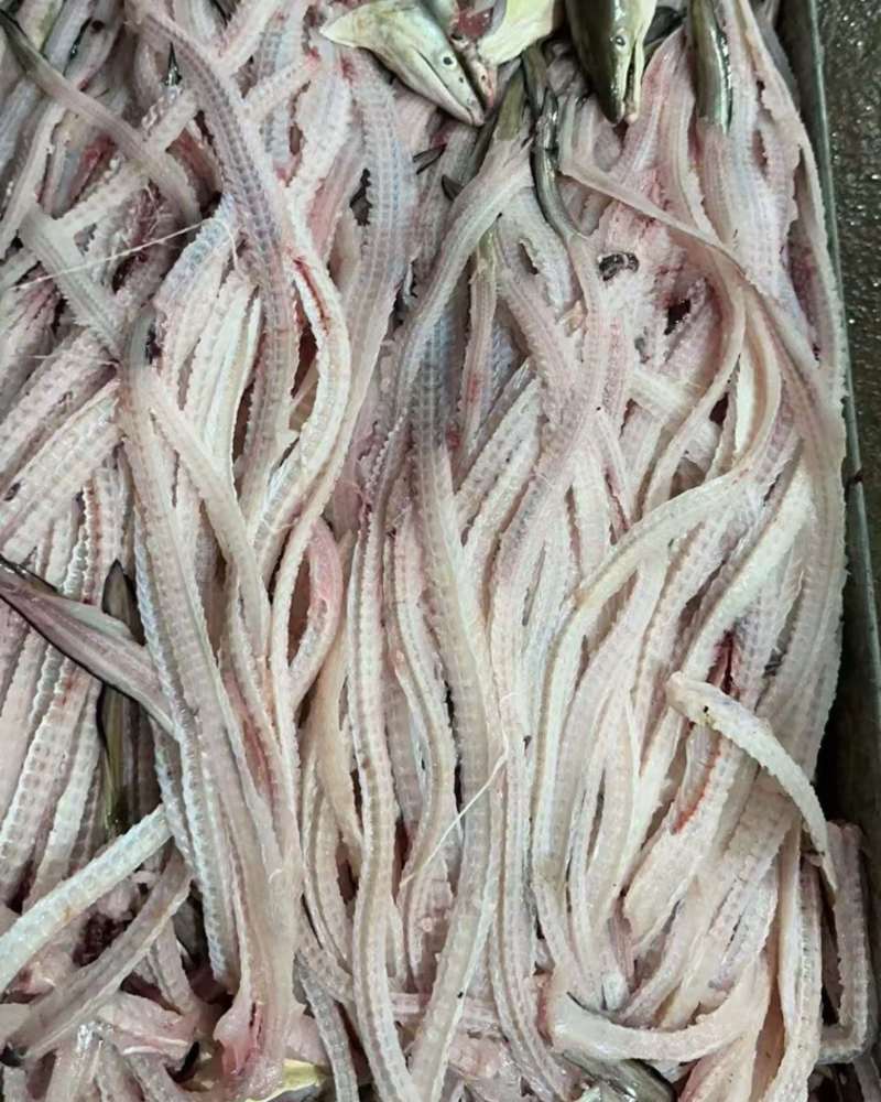 鳗鱼骨原料，冻品