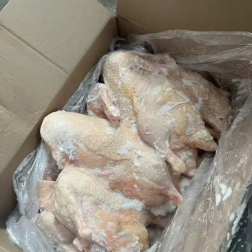一级半片鸭一车，二级价格，低价抛售