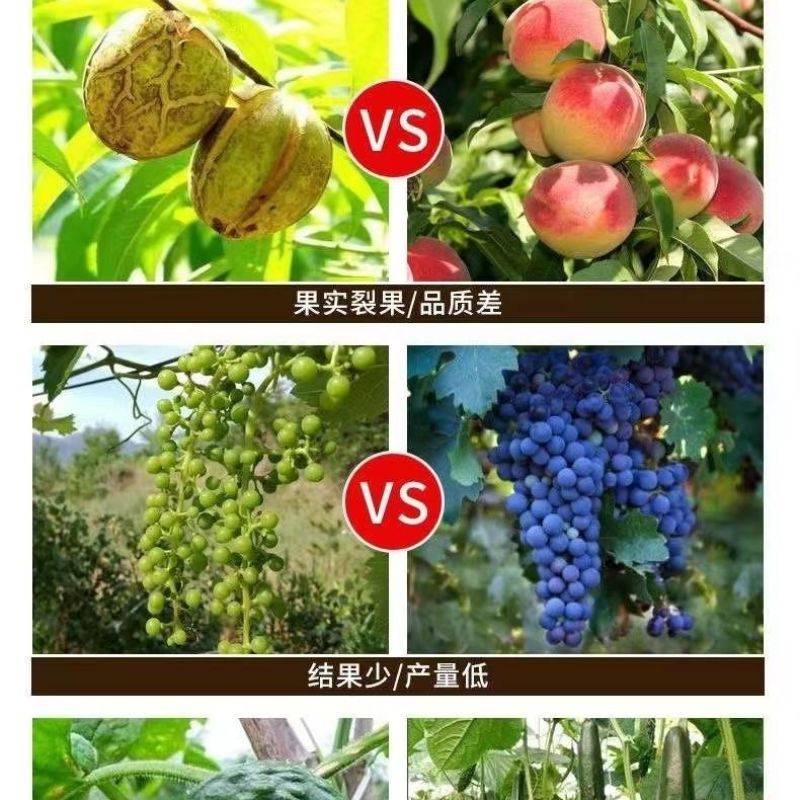 十四元素水溶肥氮磷钾钙镁锌硼铁钼微量元素叶面肥