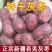2025新枣特级新疆灰枣若羌灰枣未清洗特产原生态红枣吊干