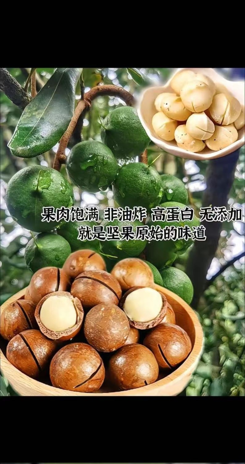 一手货源，夏威夷果，电商货，抖音快手视频号可批发代发