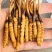 2026头期冬虫夏草鲜虫草批发产地直发虫草节日送礼