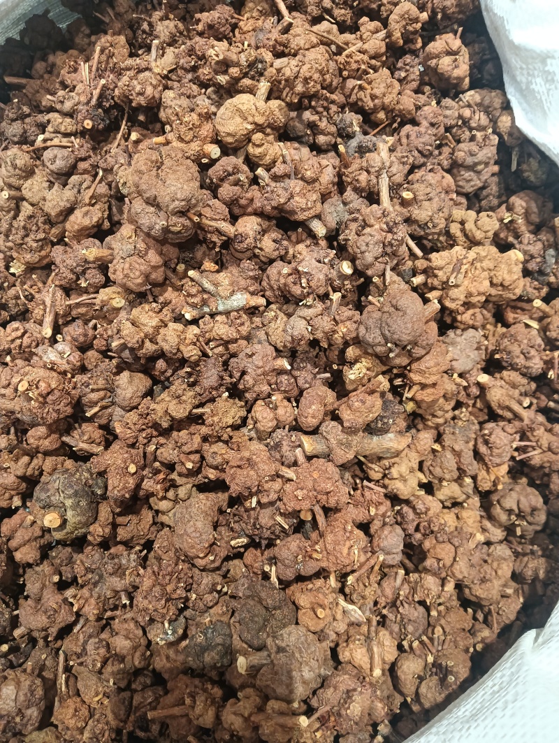 消瘤果