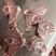 满肉羊蝎子块，一件20斤，肉多新鲜，价格美丽证件齐全