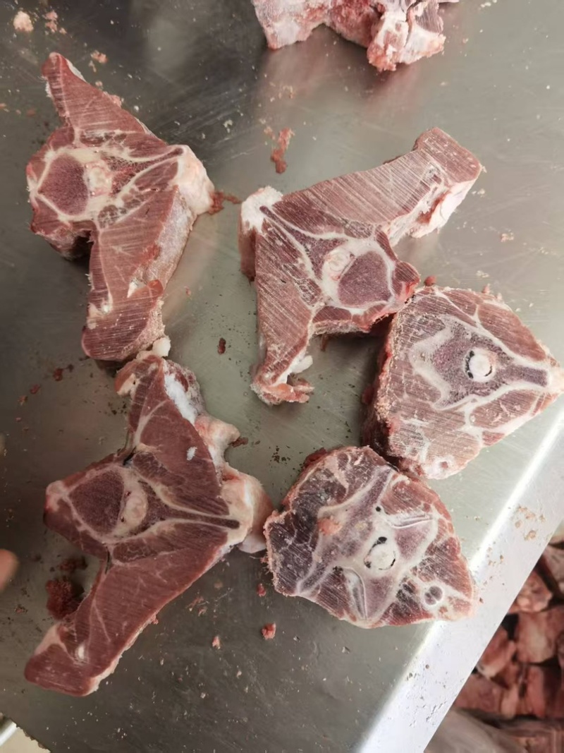 满肉羊蝎子块，一件20斤，肉多新鲜，价格美丽证件齐全