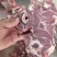 满肉羊蝎子块，一件20斤，肉多新鲜，价格美丽证件齐全
