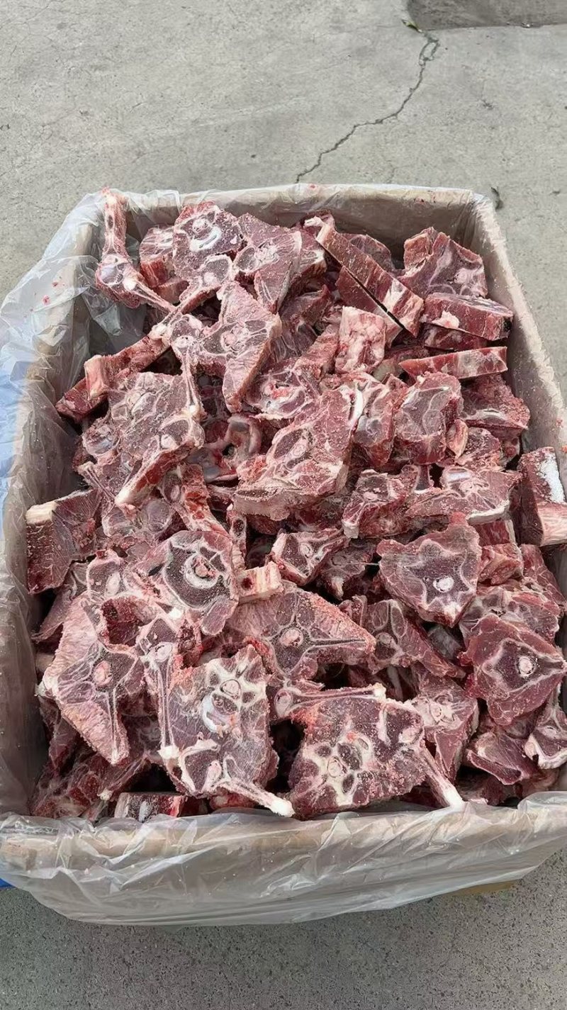 满肉羊蝎子块，一件20斤，肉多新鲜，价格美丽证件齐全
