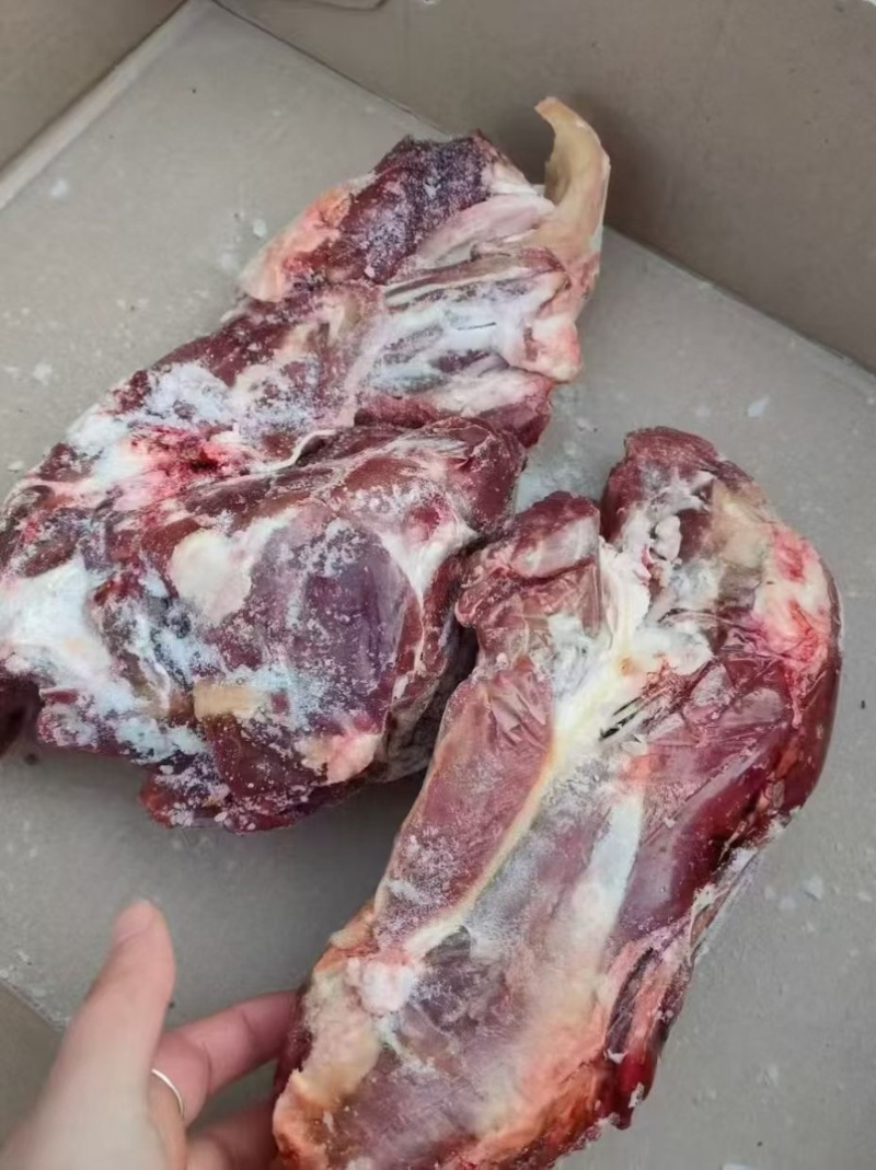 精品牛腱子，精修前后腱，纯干真空包装，一件也是批发价格
