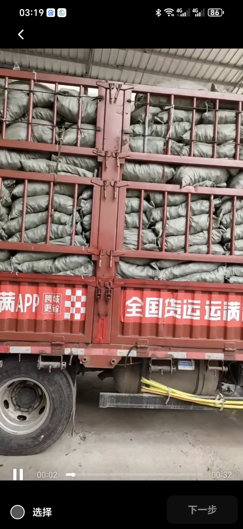 彼岸花。石蒜球一手货源批发。可按要求打包。足斤足两