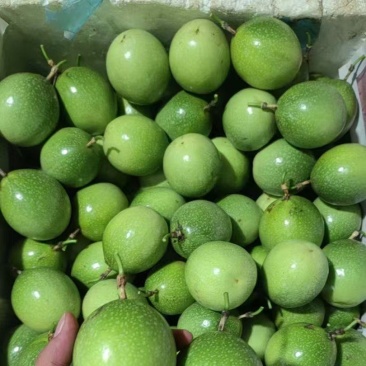 广西黄金百香果重庆批发了