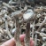 鹿茸菇胖仔整件批发无碎大条嫩仔无硫放心吃脆嫩高品质鹿茸菇