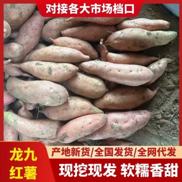 红薯湖北龙九薯持续出货，源头货源，可视频看货