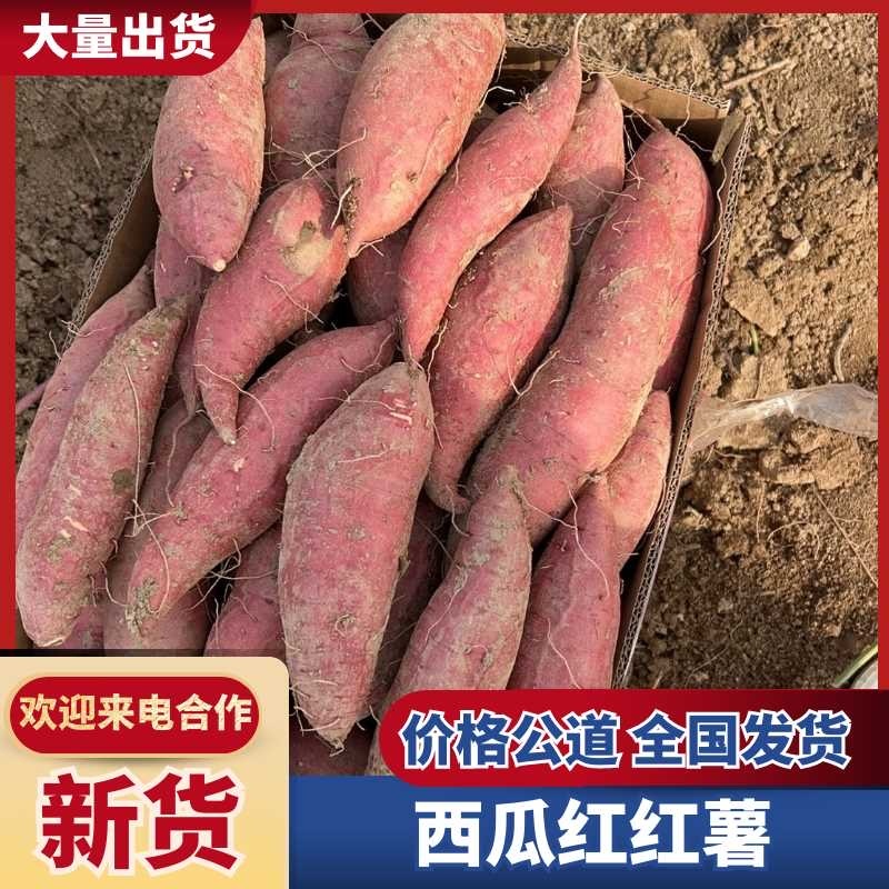 红薯、西瓜红红薯产地直销，量大从优，可视频看货